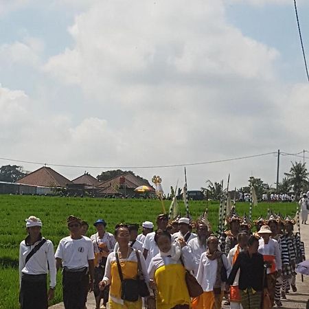 Yogi Homestay Canggu Eksteriør billede