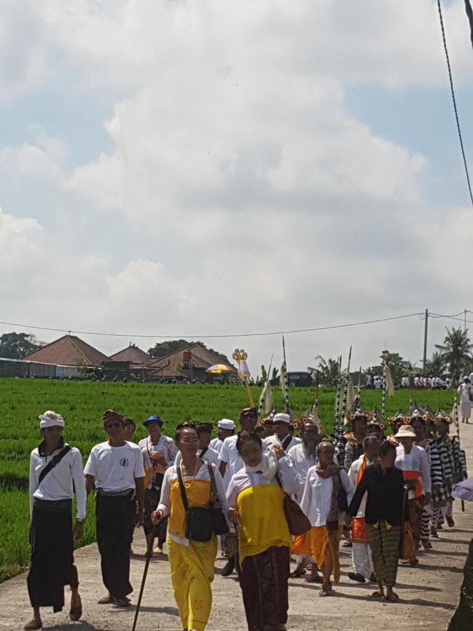 Yogi Homestay Canggu Eksteriør billede
