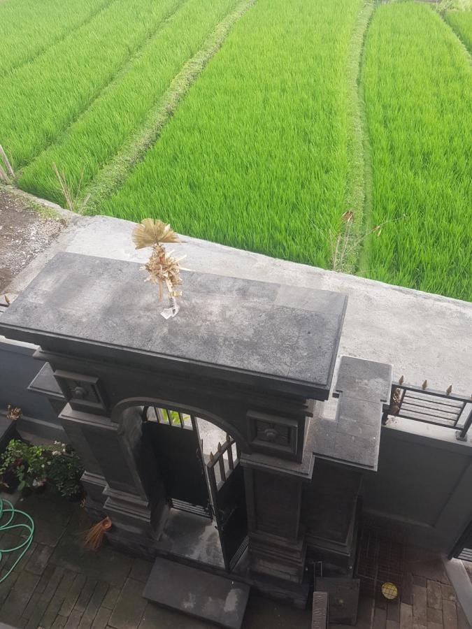 Yogi Homestay Canggu Eksteriør billede